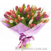Mix of 75 multi-coloured tulips
